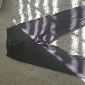 Everlane Gray Leggings